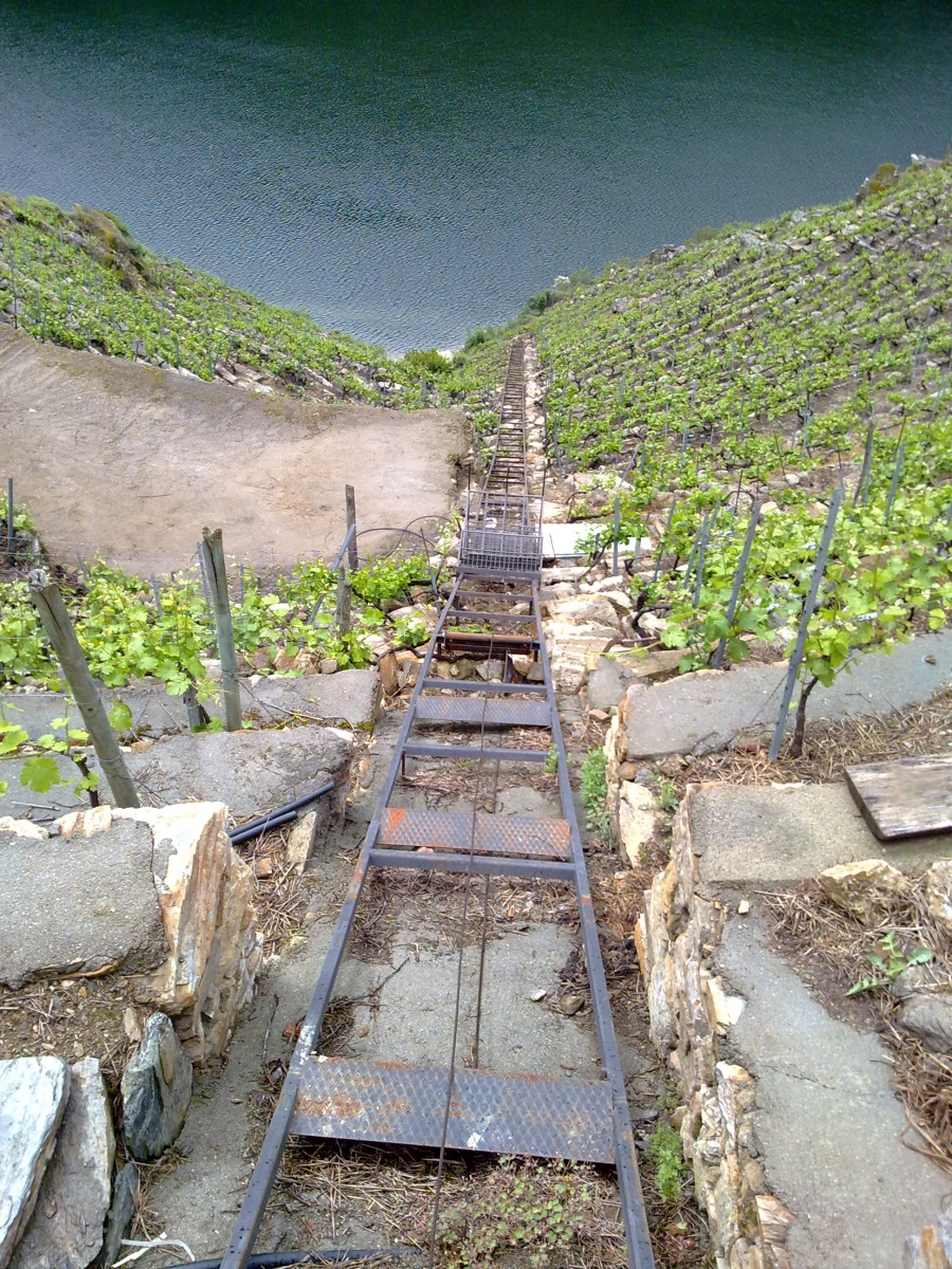 enoturismo en la ribeira sacra